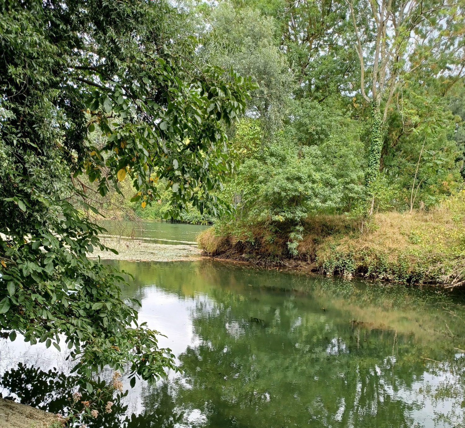cropped-20210902_155040-bord-garonne-scaled-1.jpg